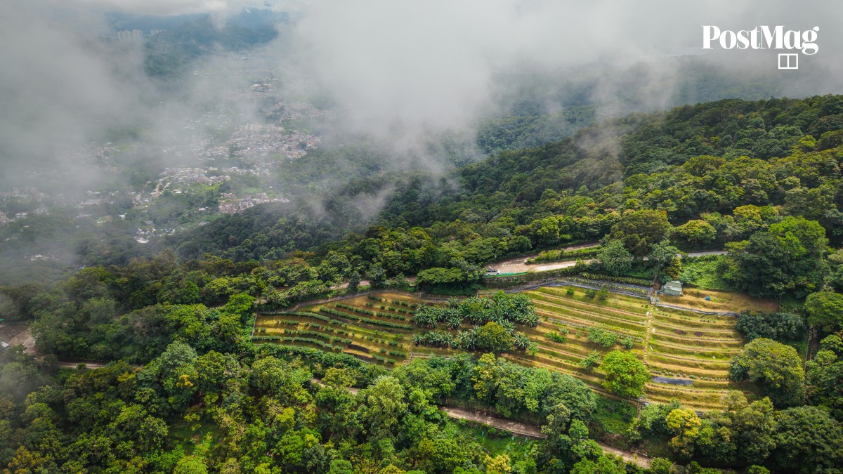 https://cdn.i-scmp.com/sites/default/files/styles/og_postmag/public/d8/images/canvas/2026/07/30/ecf3fb15-7fd9-4703-8d68-1d421a554034_3702c8c3.jpg?itok=WnUN6c9a&v=1785413715