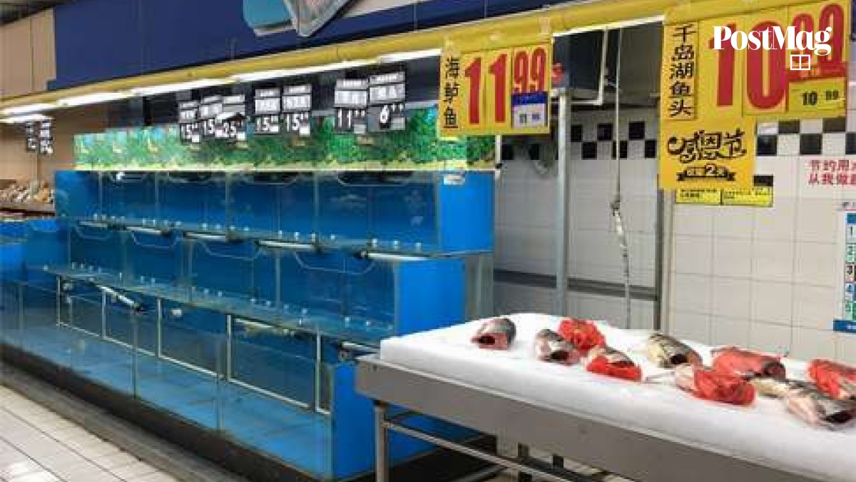 Live fish out of water in Beijing supermarkets as tanks emptied ahead of food safety crackdown South China Morning Post