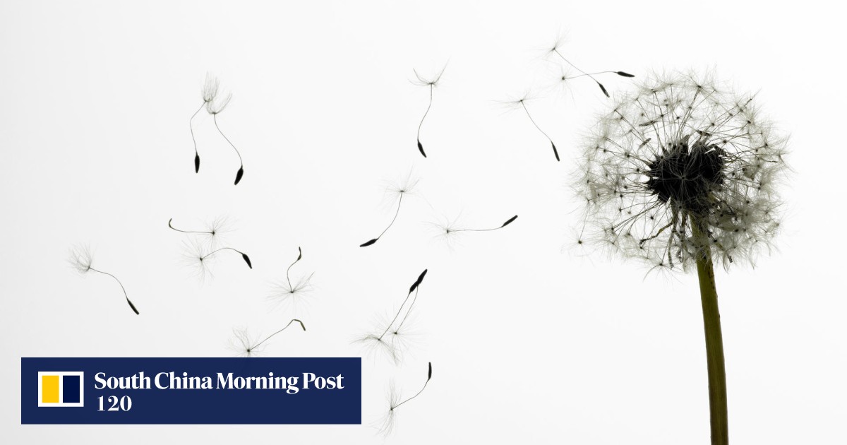 Allergies need to a medical discipline in Hong Kong South