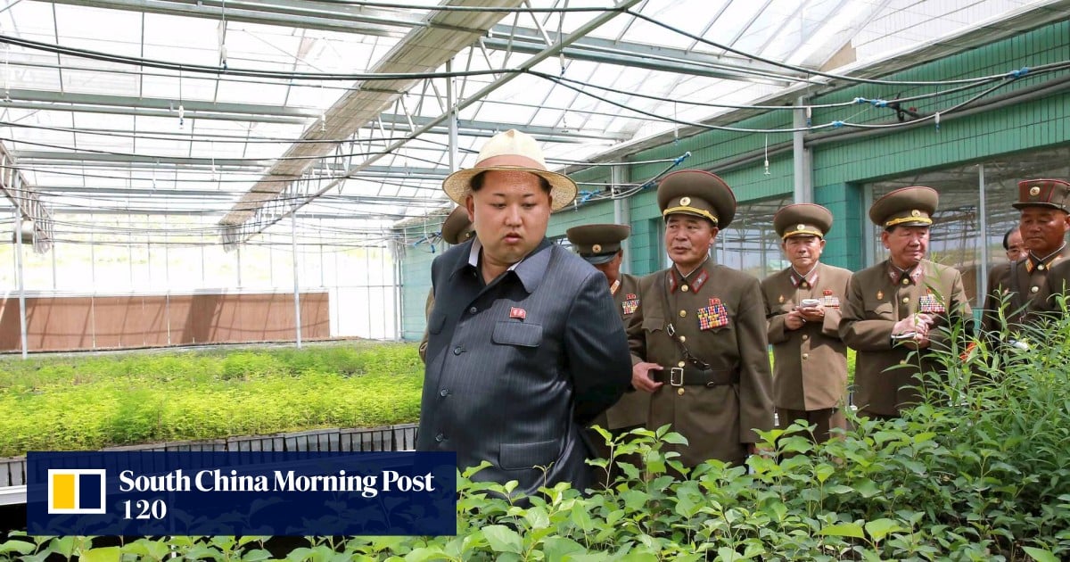 Huge Food Shortages 'could Leave North Korea Hungry After Lowest ...