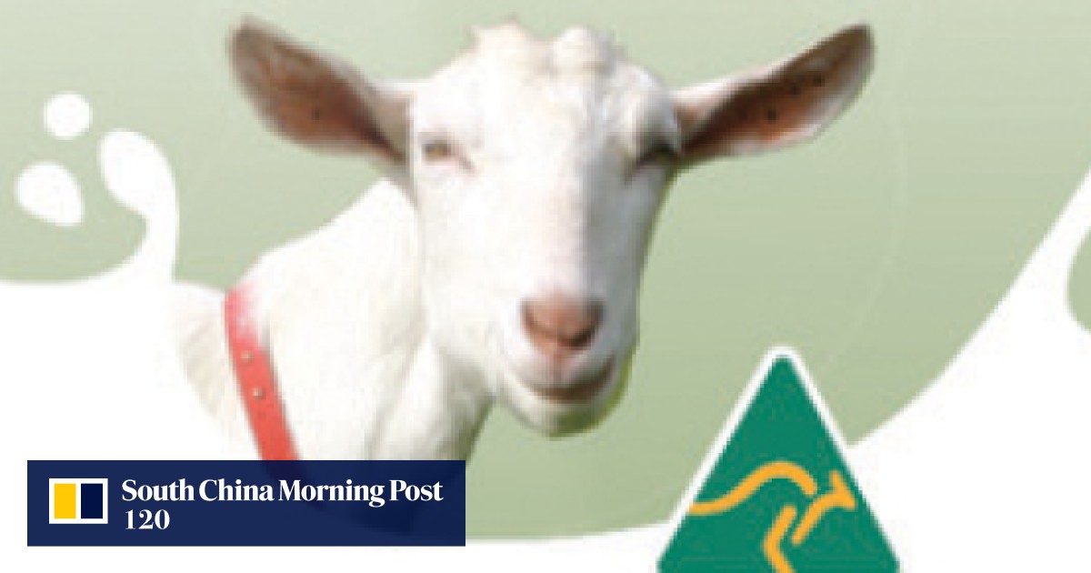 Three hand creams to keep the winter chill off your mitts South China