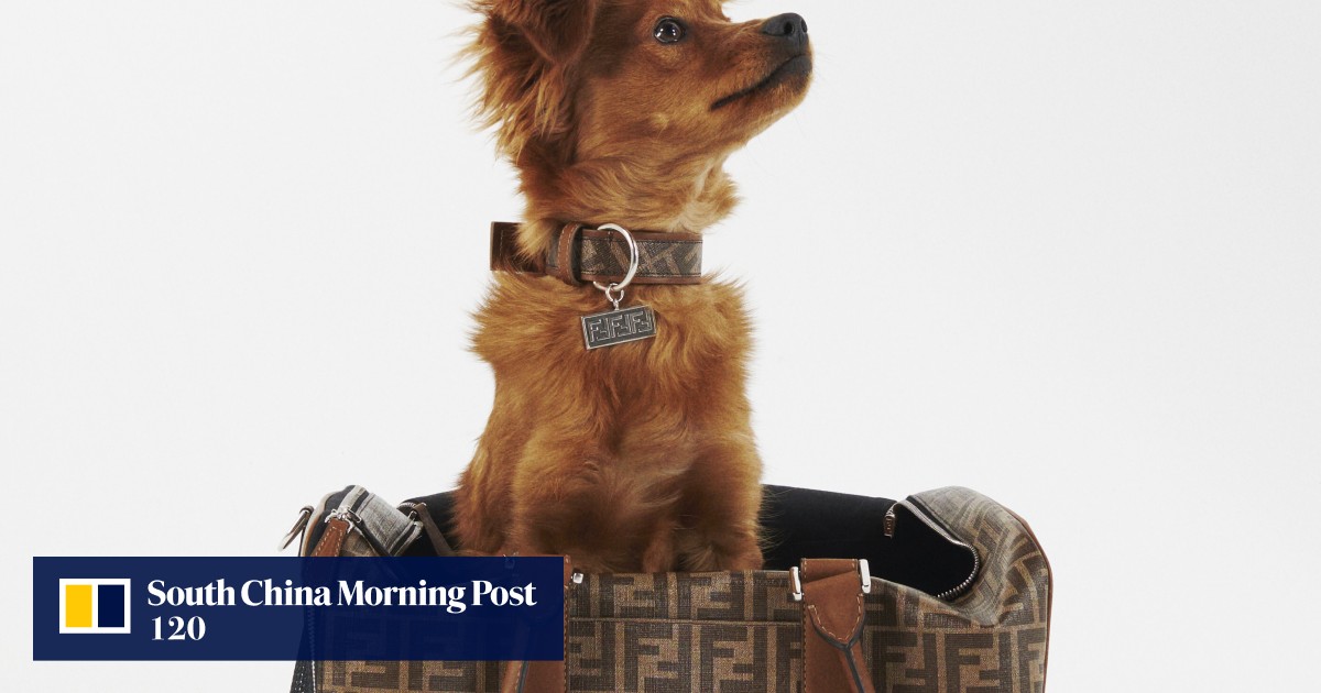 Louis Vuitton Dog Collar: A Luxury Accessory for Your Furry Friend, by  CREATIVE WORLD