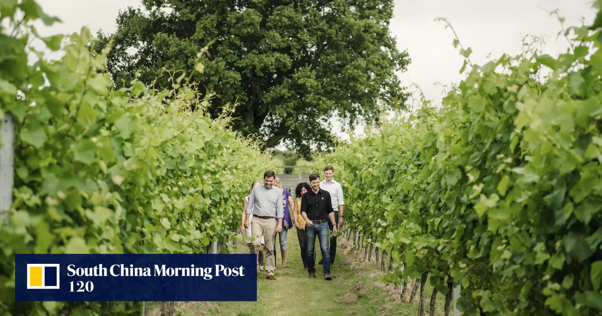 Is English sparkling wine as good as champagne? At its best it has the