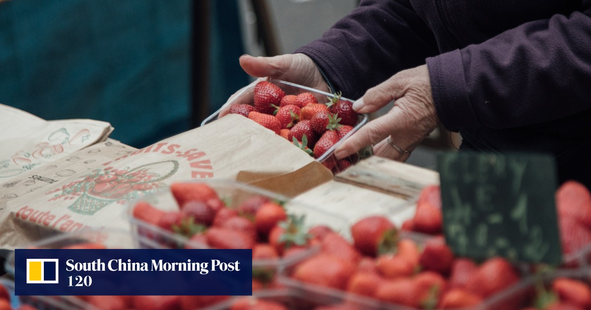 US and Canadian health regulators tie recent hepatitis outbreak to strawberries South China