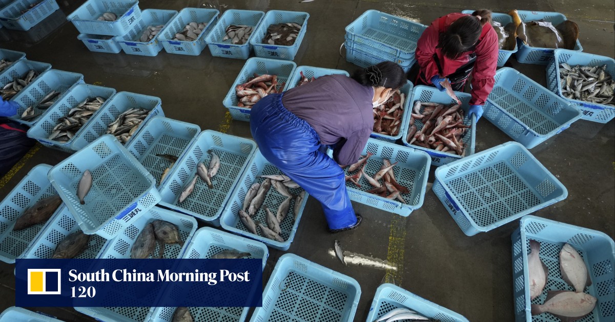 China open to expert-level talks on seafood ban, Japanese Prime Minister Fumio Kishida says after talks with Xi Jinping