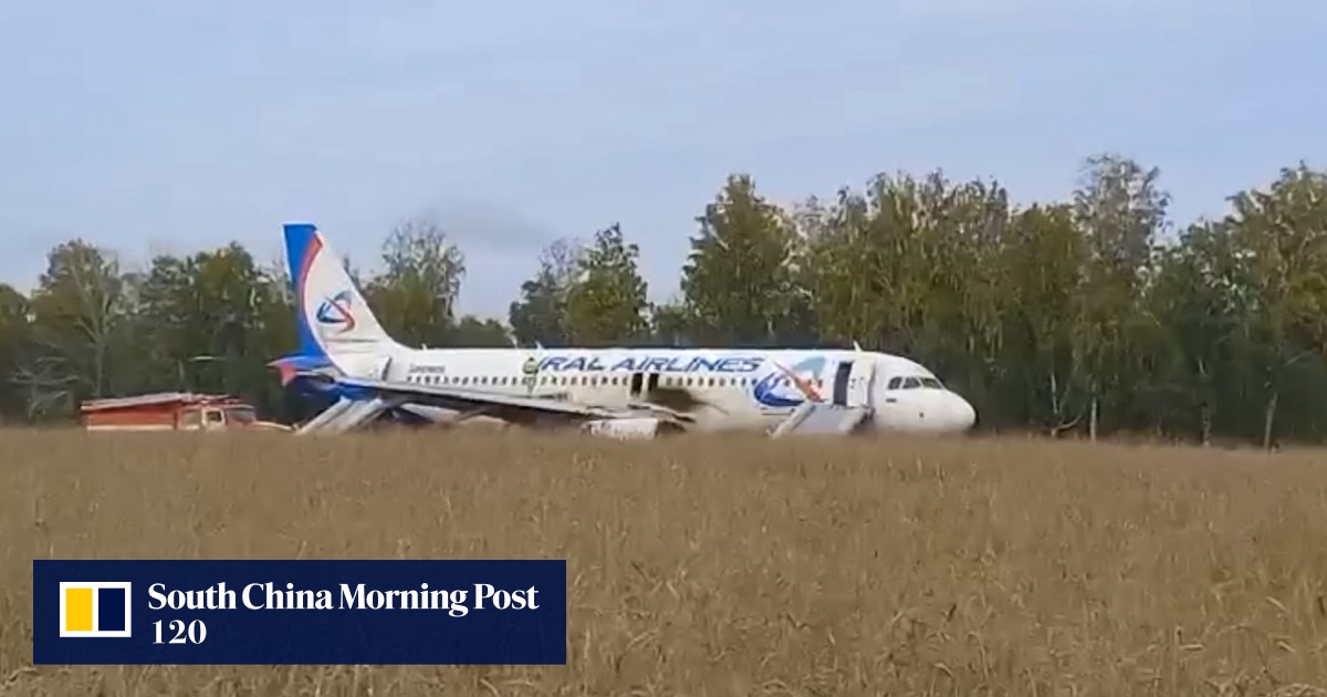 Российская авиакомпания «Уральские авиалинии» выплатила 1127 долларов США в качестве компенсации пассажирам, чей самолет разбился на сибирском пшеничном поле.
