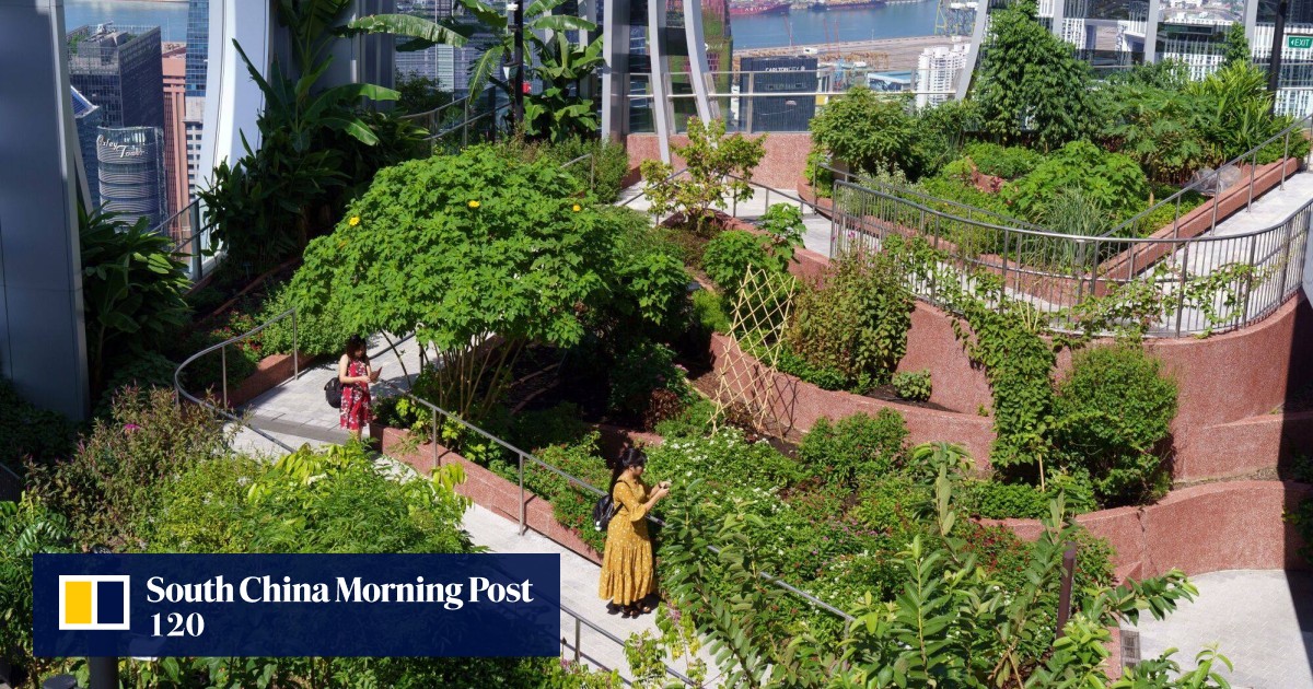 Singapore plants the seeds for a green revolution to turn city state into a garden