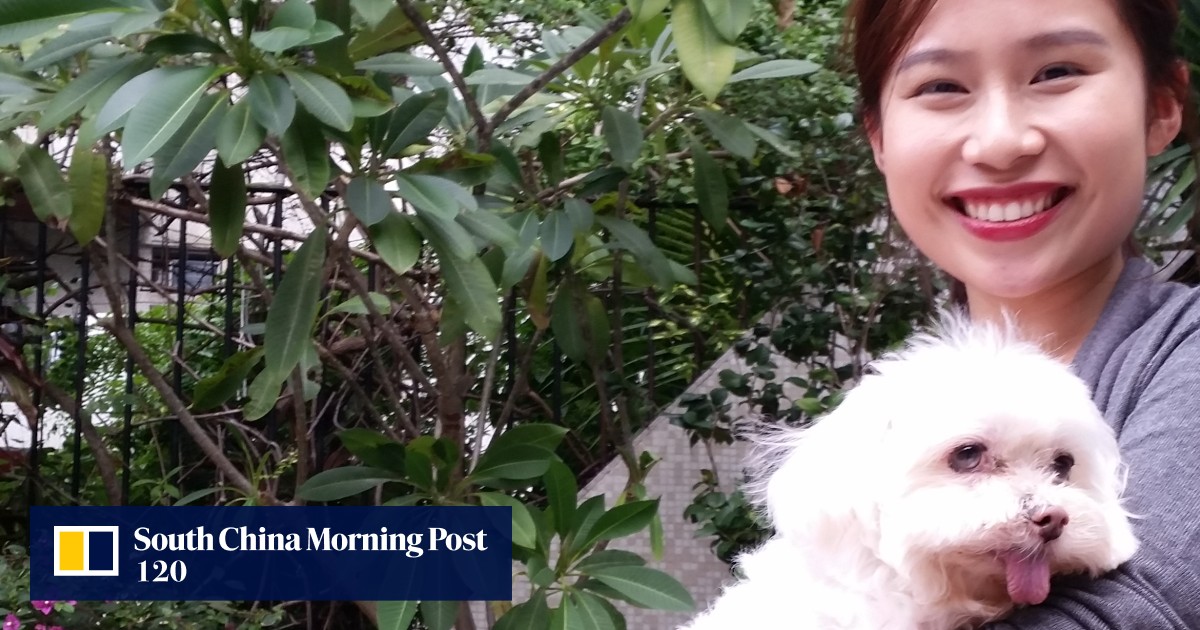 Hong Kong’s top 10 dog names and breeds revealed South China Morning Post