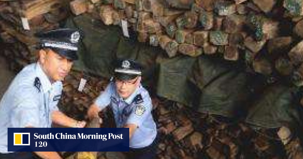 How the battle to axe the illegal timber trade is being won South