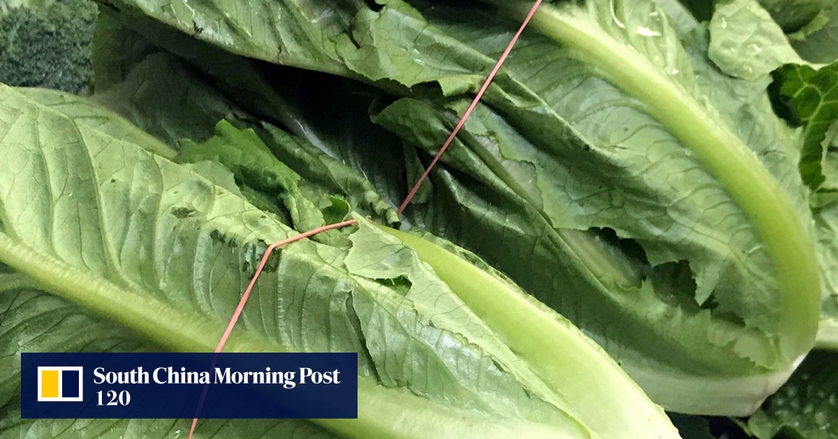 Hong Kong food safety centre warns consumers to avoid eating romaine
