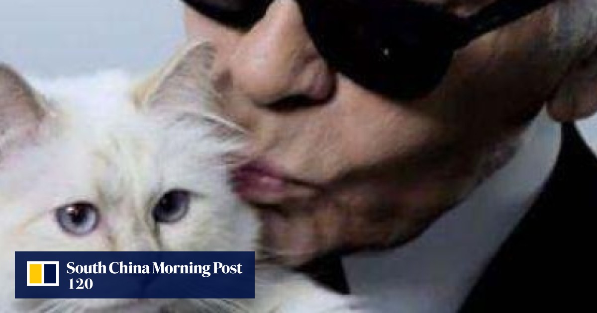 Karl Lagerfeld's cat Choupette turns 11 with a lavish getaway