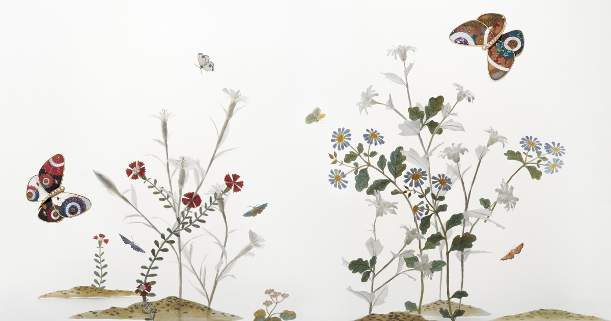 Korean butterfly