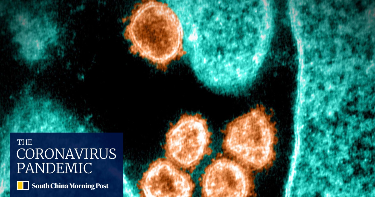 WHO designates coronavirus variant found in South Africa as 'of concern', names it Omicron - Vimarsana News