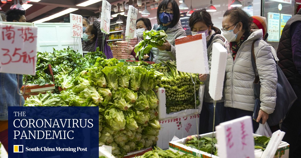Coronavirus Hong Kong: fears of more pressure on food prices, supply as 15 per cent of cross-border vegetable truckers plan to quit over tough rules - Vimarsana News