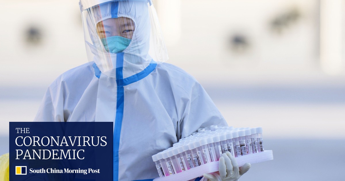 Chinese Covid-19 test kits able to screen 51 million people daily, in 'strong' boost to pandemic fight - Vimarsana News
