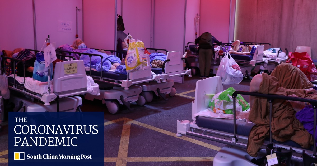 Coronavirus Hong Kong: use mainland Chinese help well, plan for next stage of battle and ensure social stability, top Beijing official tells local government - Vimarsana News