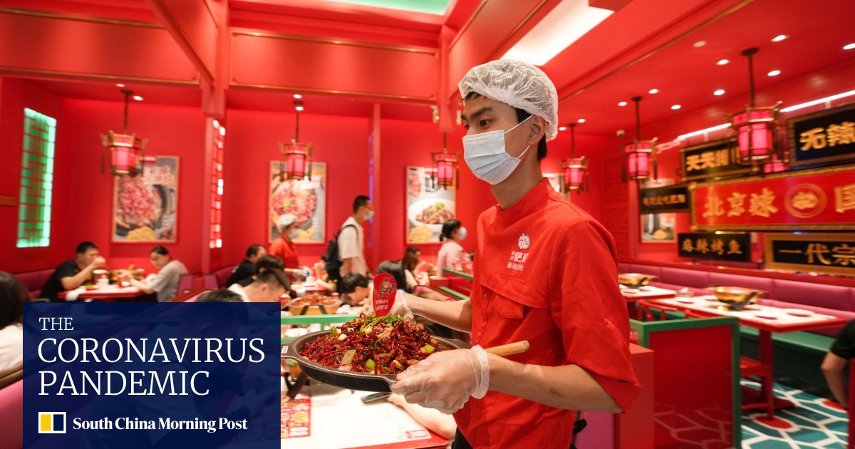 Coronavirus: China's jobless rate could reach 2020 levels unless Beijing 'learns' early pandemic lessons, experts say - Vimarsana News
