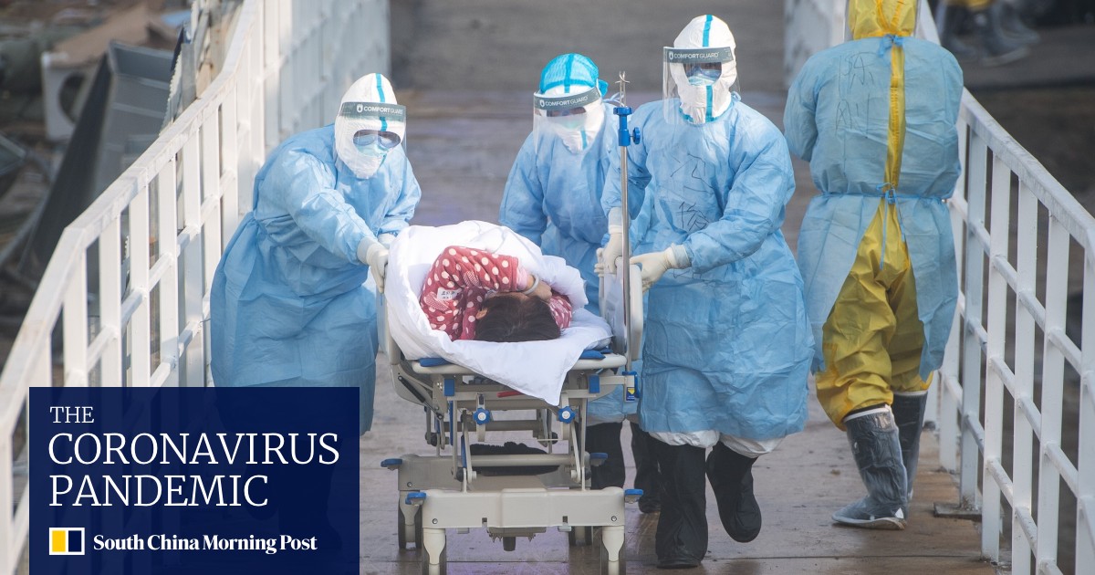 China's coronavirus success could see Hong Kong-style subsidised medical care in mainland, health expert says - Vimarsana News