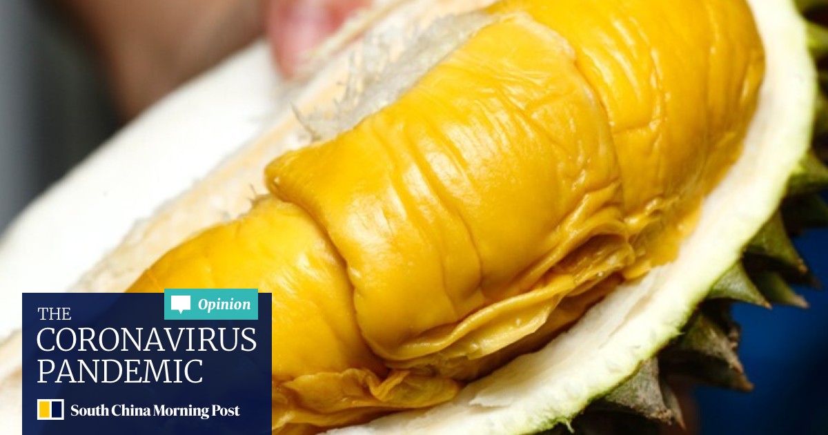 Chinese Buy Us 15 Million Worth Of Malaysian Musang King Durian In One Hour Online Sale South China Morning Post