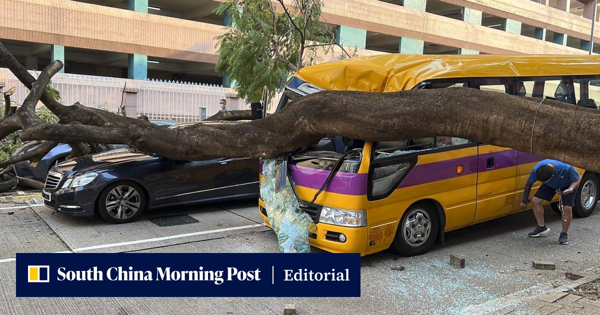 New thinking needed to better manage risks posed by falling trees - Vimarsana News