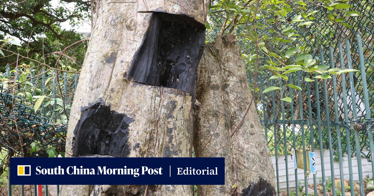 More must be done to stop looting of nature in Hong Kong - Vimarsana News