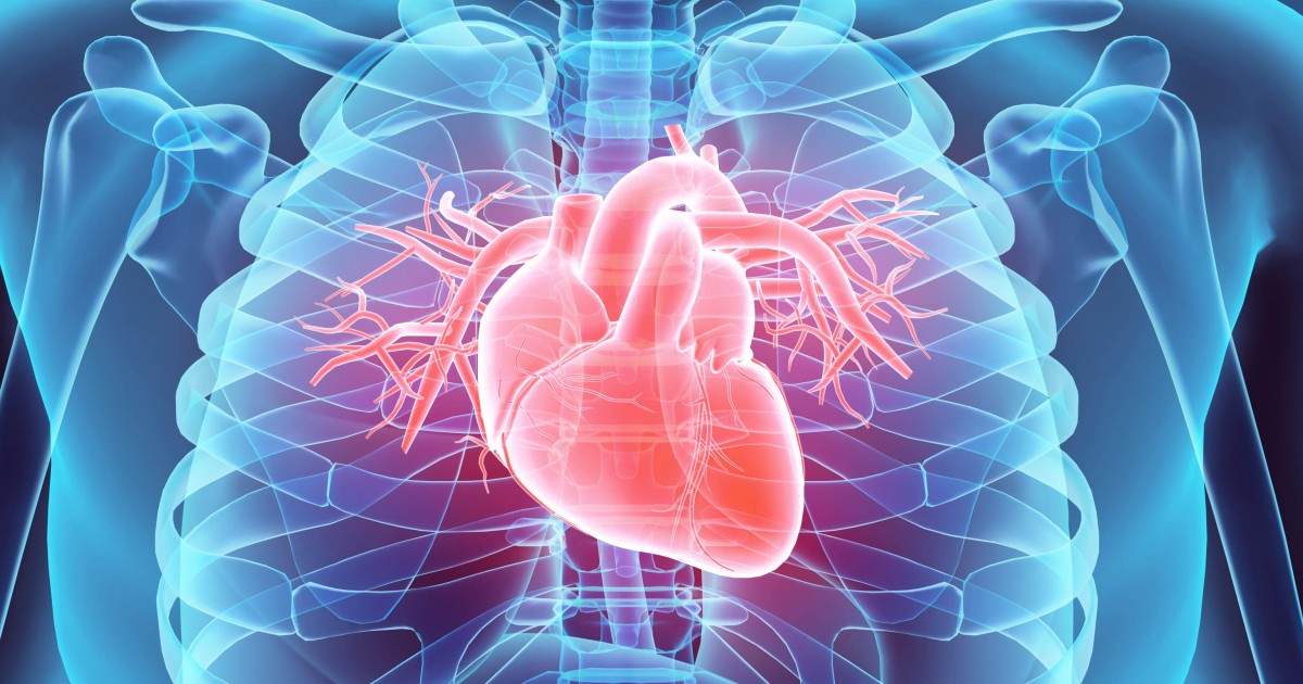 Do you need a heart test? Don't be scared of them – a Mayo Clinic cardiologist explains how they could save your life - Vimarsana News