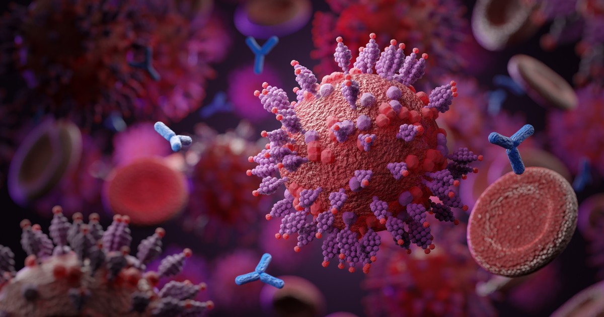 Coronavirus: should Hong Kong be concerned about global rise in BA.4 and BA.5 cases? Here's what we know about more transmissive Omicron subvariants - Vimarsana News