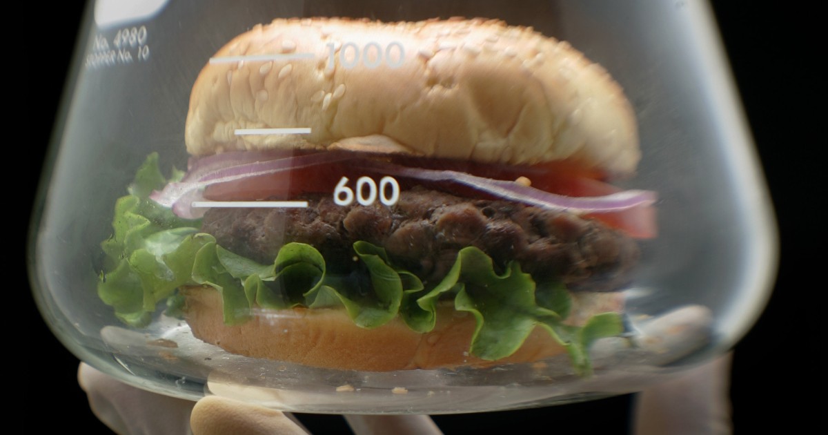 Lab-grown meat: is it safe, is it vegetarian, when will it be available, is it better for the environment? All you need to know - Vimarsana News