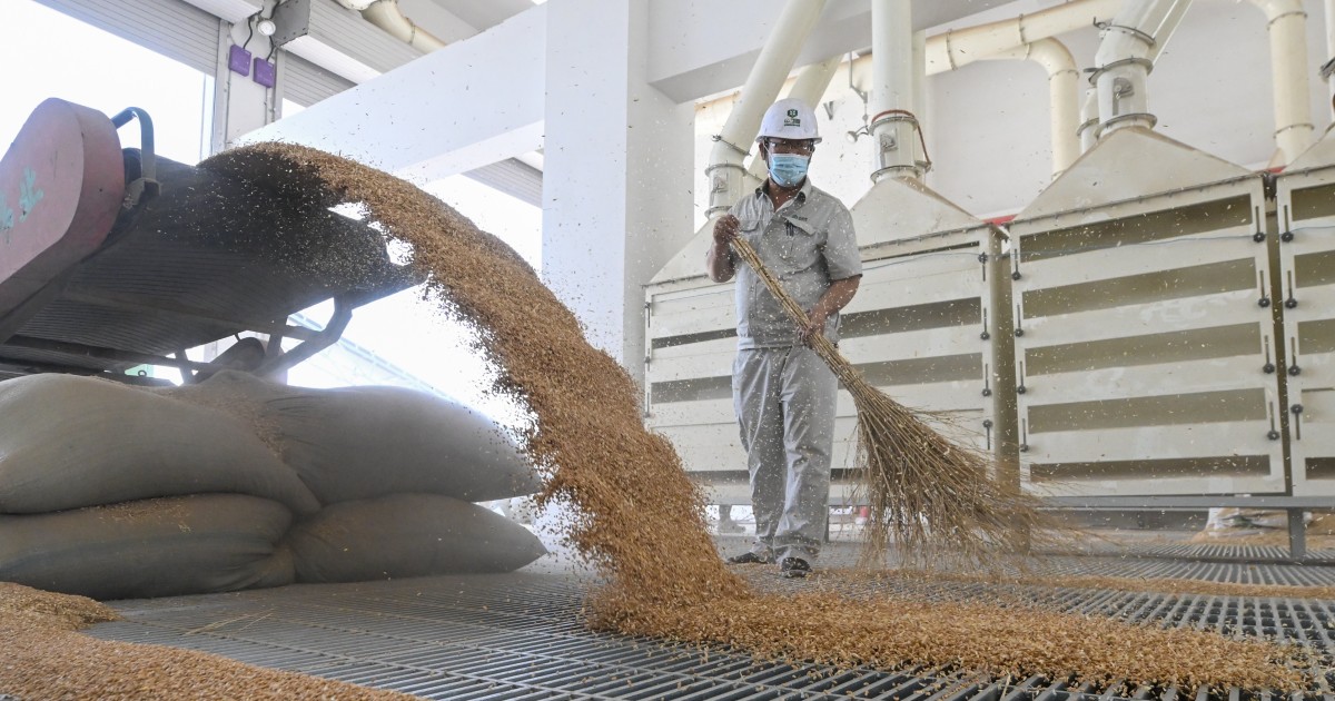 What is the state of China's food-security drive, and what must be done to feed its people? - Vimarsana News