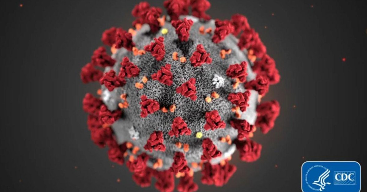 Why more contagious Covid-19 variants are emerging - Vimarsana News