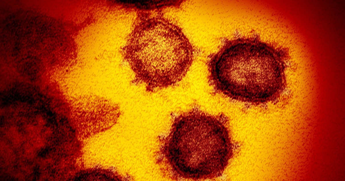 Coronavirus: what's the difference between 'variants' and 'mutants'? With Hong Kong on edge over new cases, here's what you should know - Vimarsana News