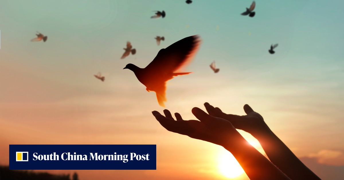 How to forgive someone and the health benefits of forgiveness, both mental and physical - Vimarsana News