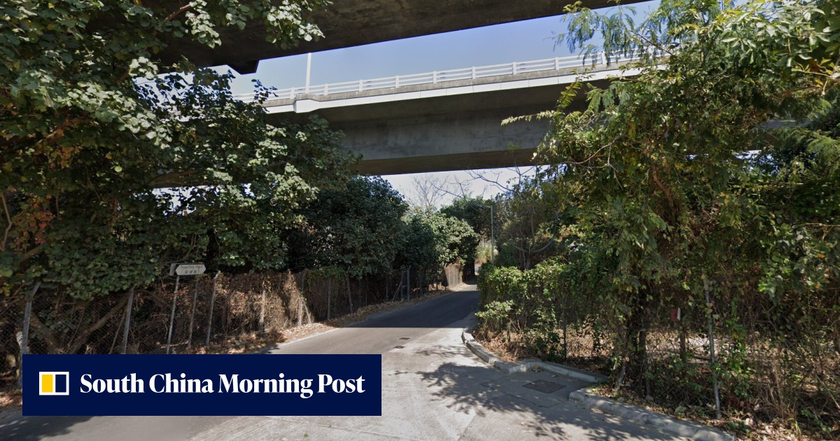 Manhunt on for 3 suspects who hijacked delivery van in northwestern Hong Kong and stole 35 stray cats and dogs - Vimarsana News
