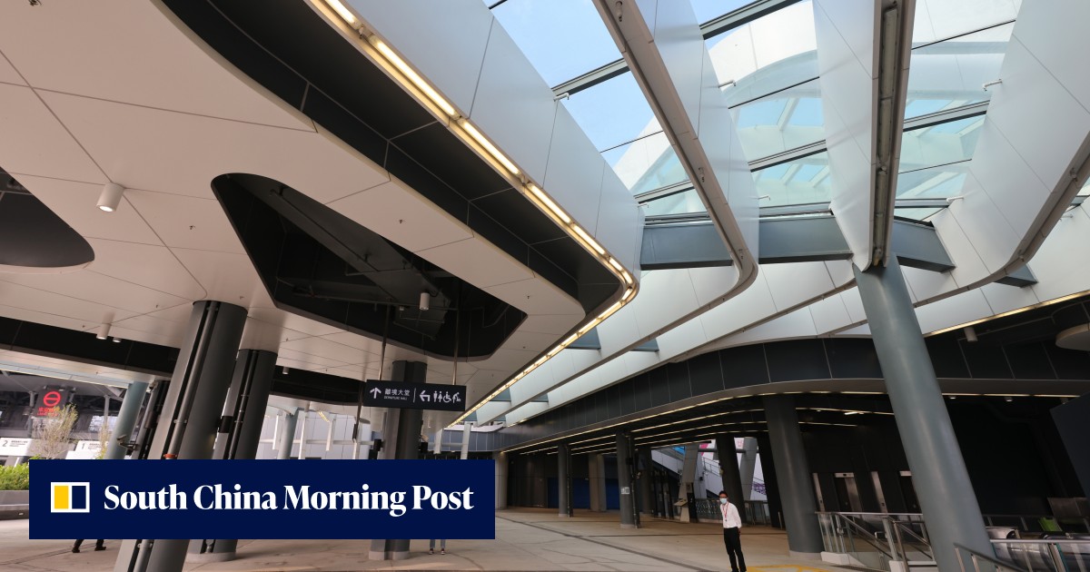 Hong Kong elections: votes cast at border will not hit 'anywhere near 100,000', Carrie Lam concedes, as just over 18,000 in mainland China have registered - Vimarsana News