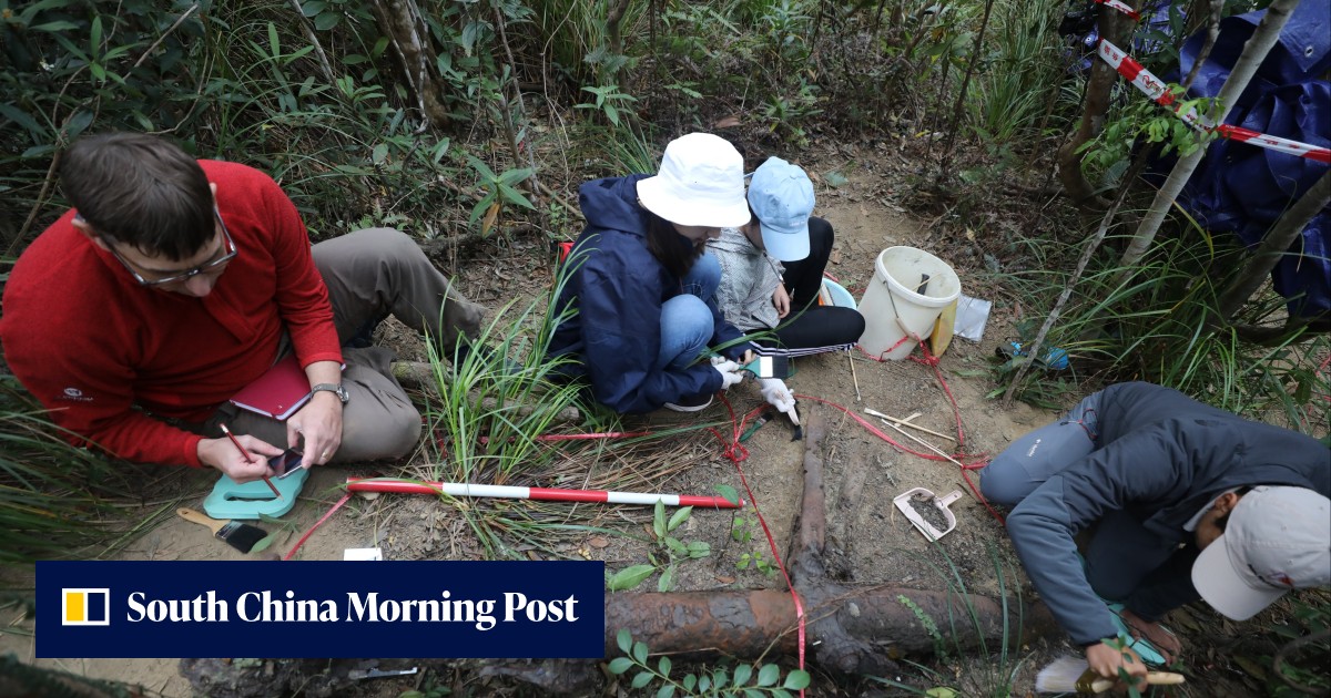 Hong Kong country park could be site of crashed US warplane from World War II, international researchers 'strongly believe' - Vimarsana News