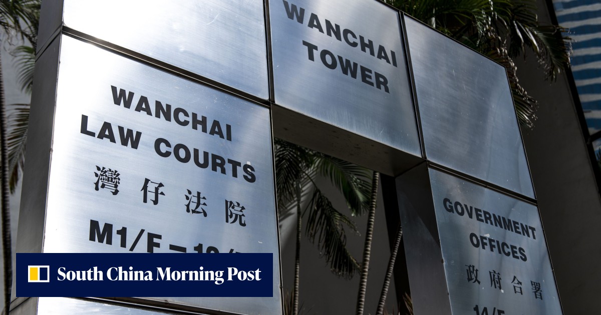 Hong Kong protests: Yuen Long demonstrator pleads guilty to attacking 2 passers-by, lawyer cites influence of mental illness - Vimarsana News