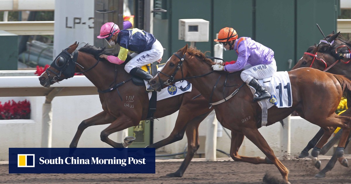 raw instinct doncaster