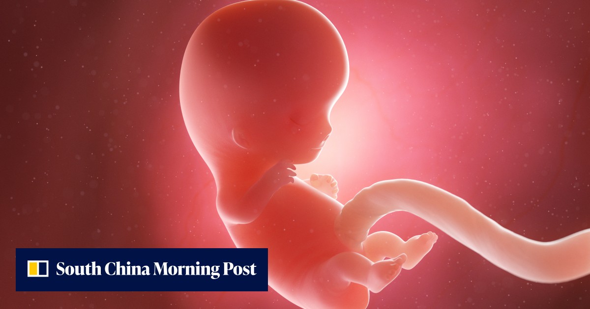 Chinese scientists create AI nanny to look after babies in artificial womb - Vimarsana News