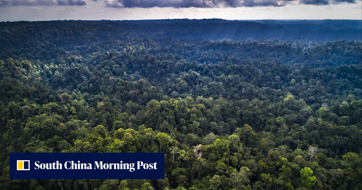 Indonesian debate over new capital Nusantara reflects Southeast Asia's obsession with the supernatural – and Kalimantan's spooky stories - Vimarsana News