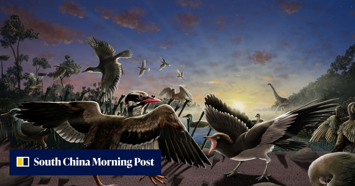 Ancient birds discovered near Great Wall of China, one had pincer-like appendage at the end of its lower jaw for hunting - Vimarsana News