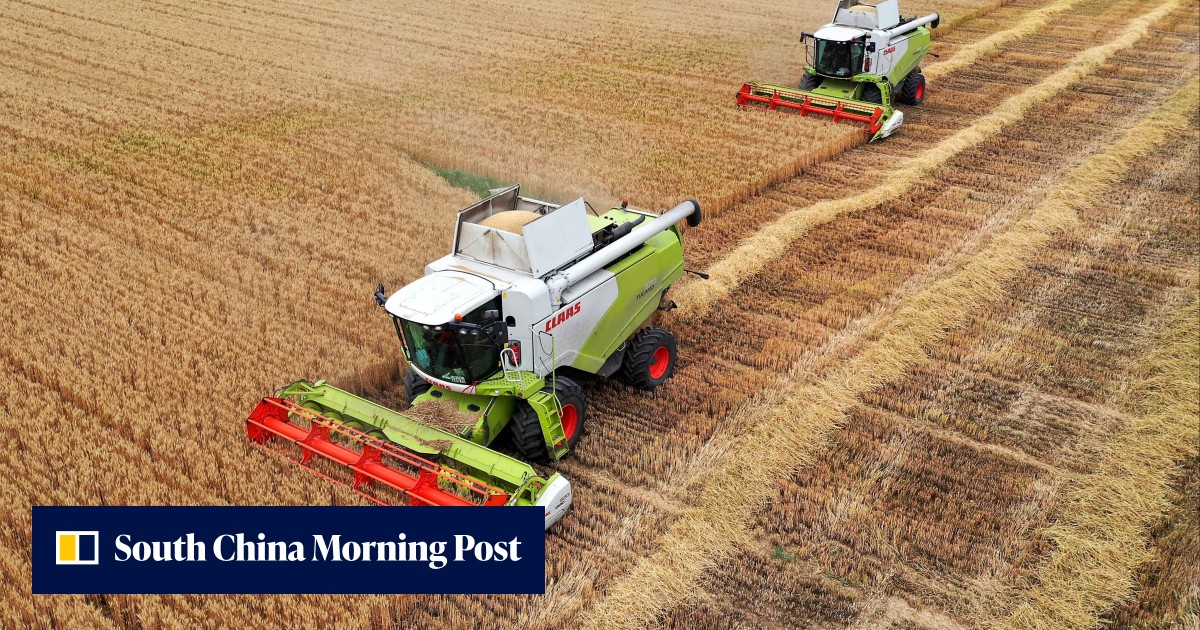 As China's grain security faces 'unprecedented' difficulties, Beijing will ramp up subsidies - Vimarsana News