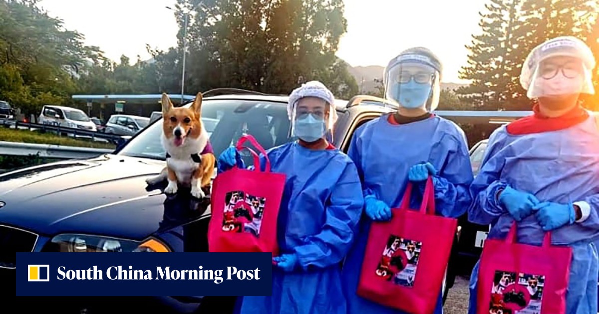 Coronavirus: medicine delivery services in Hong Kong unsupervised by pharmacists could expose patients to risks of taking wrong drugs, group warns - Vimarsana News