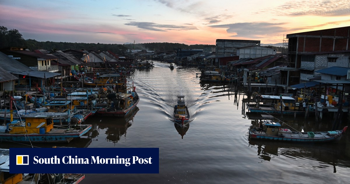 In a mangrove in Malaysia where fireflies dance is a scene as if from a Charles Dickens novel – charcoal factories. The tourist potential is huge, a hotelier says - Vimarsana News