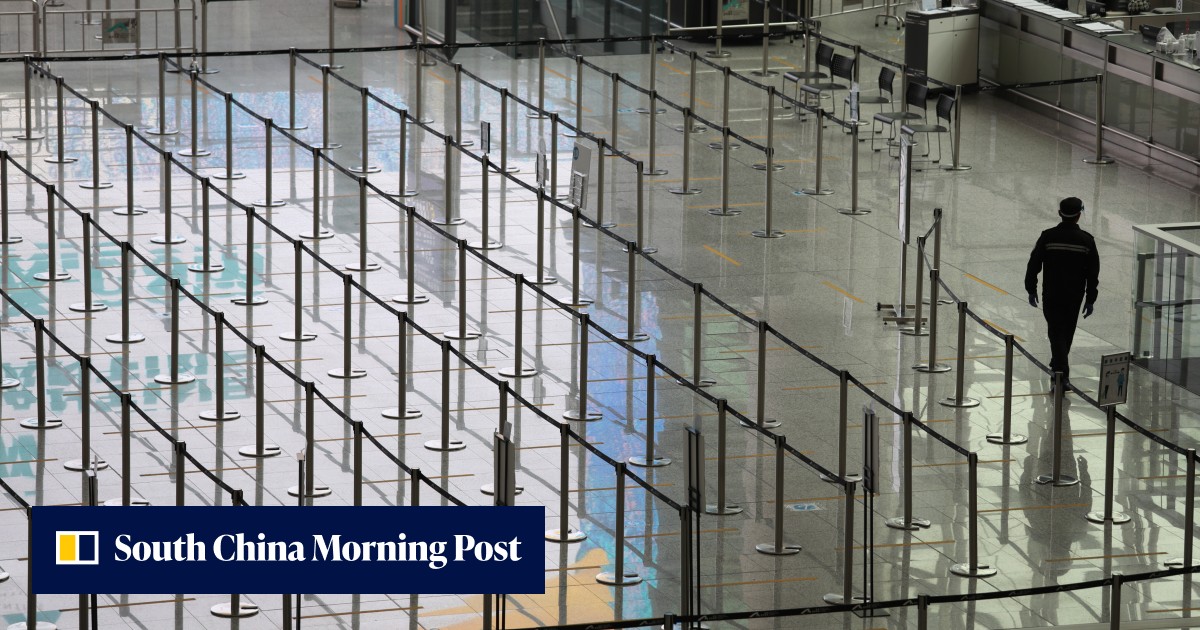 Coronavirus Hong Kong: Carrie Lam pledges to review flight suspensions, says reopening border with mainland China still 'priority' as city logs 12,240 cases - Vimarsana News