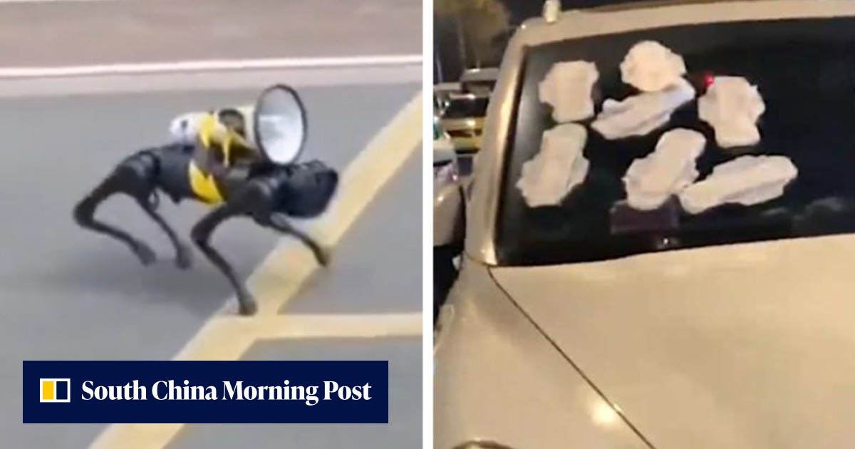 Quirky China: a robotic dog Covid-19 messenger, sanitary pads for revenge and KFC stock photo site crashes - Vimarsana News