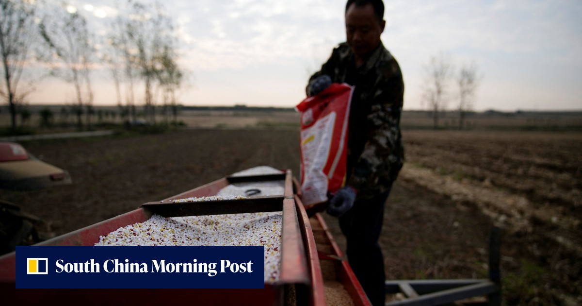 China's fertiliser crunch leaves farmers grasping at straws a month before crucial spring application - Vimarsana News