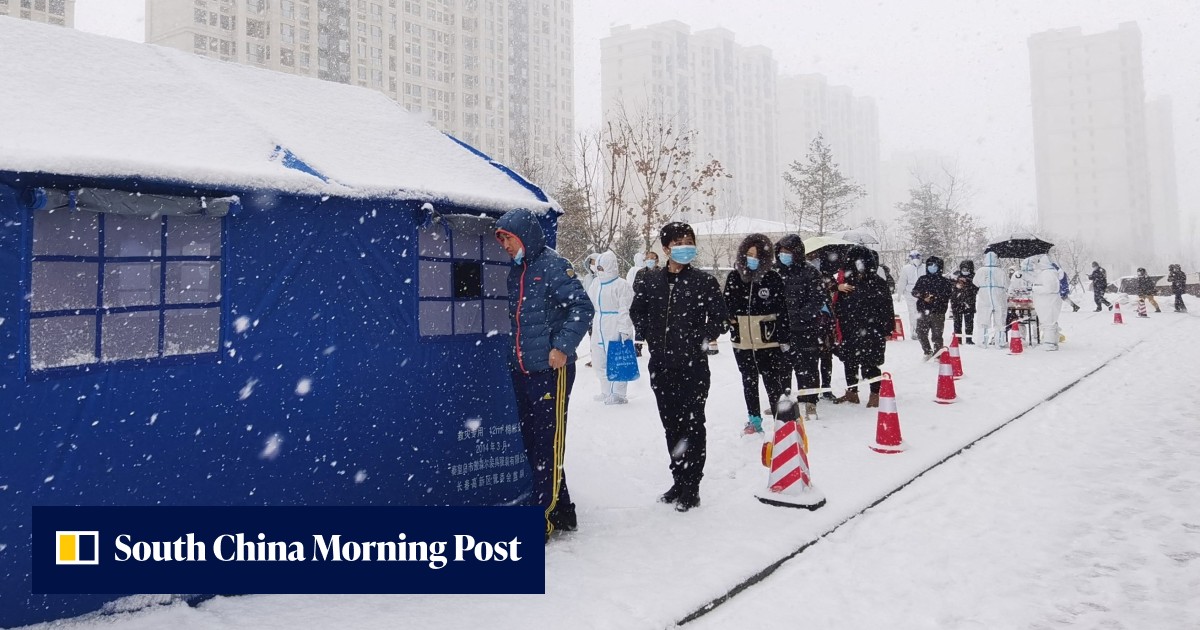 China's lockdowns put working class, poor provinces at risk of 'falling back into poverty' - Vimarsana News