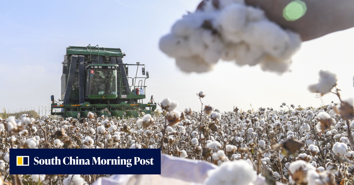 Why is China choosing now to ratify forced labour conventions? - Vimarsana News
