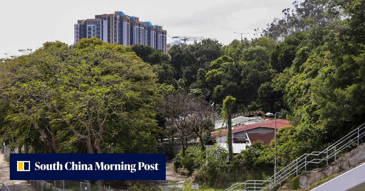 Government's rejection of bids for Tuen Mun site unrelated to Hong Kong's minimum size requirement of 280 sq ft for flats, leading developers association says - Vimarsana News