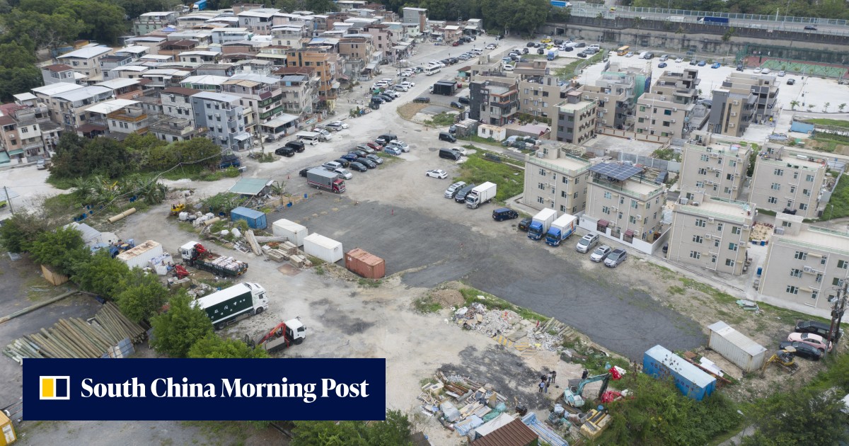 Hong Kong housing: why look to mega projects instead of tackling the small-house policy? - Vimarsana News
